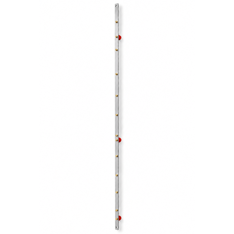 Aarding skinne 42U