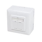 CAT6 UTP / STP overflademonteret boks, hvid