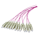 OM4 fiberoptisk pigtail lilla ST - 12 stk